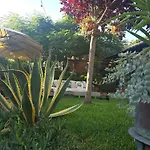 La Dimora Di Pietra - Madonie & Garden - Esclusive Private With Heated Outdoor & Private Park Blufi
